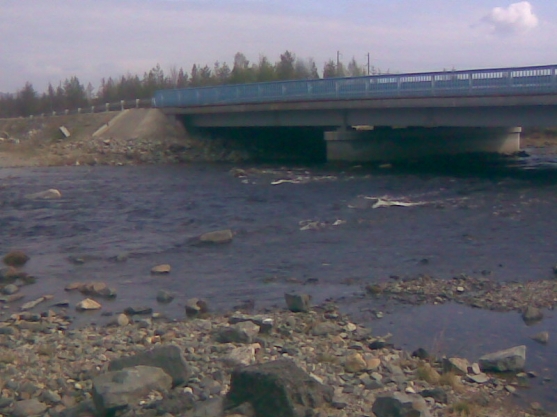 Отдых на Курке. Фото Отдых на Курке.