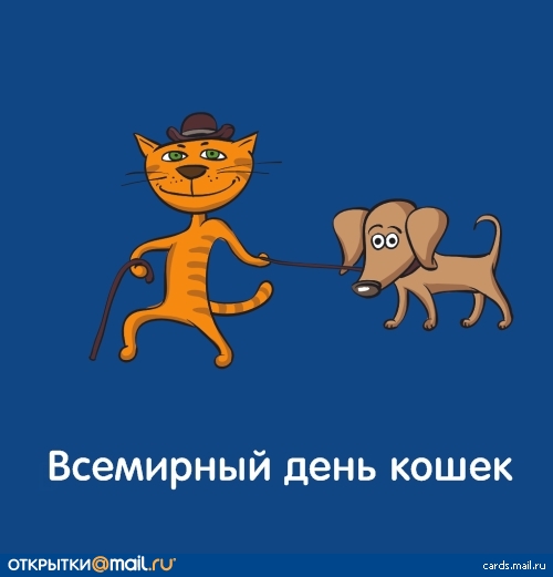 1 Марта — Всемирный День Кошек! Фото 1 Марта — Всемирный День Кошек!