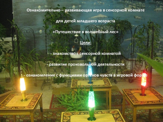 Ознакомительно-развивающая игра в сенсорной комнате для детей младшего возраста «Путешествие в волшебный лес» Фото Ознакомительно-развивающая игра в сенсорной комнате для детей младшего возраста «Путешествие в волшебный лес»