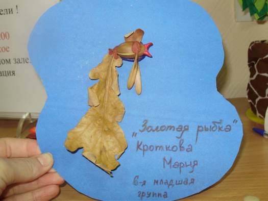 Экологический проект «Улыбка природы» Фото Экологический проект «Улыбка природы»