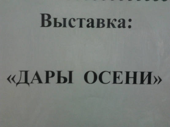 Выставка поделок совместного творчества детей и родителей «Дары осени» Фото Выставка поделок совместного творчества детей и родителей «Дары осени»