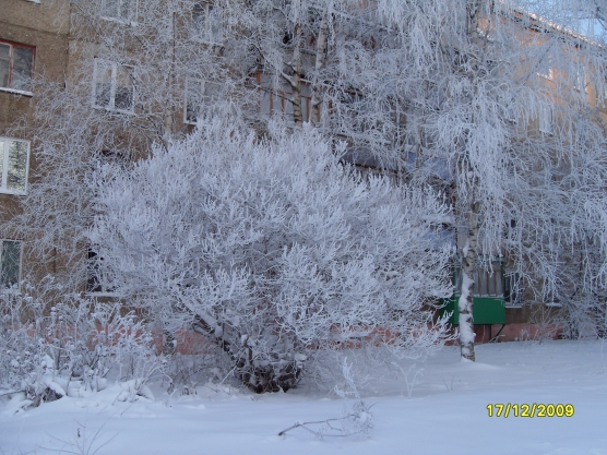 Хороша зима на Кубани, на Урале не хуже. (фоторепортаж) Фото Хороша зима на Кубани, на Урале не хуже. (фоторепортаж)