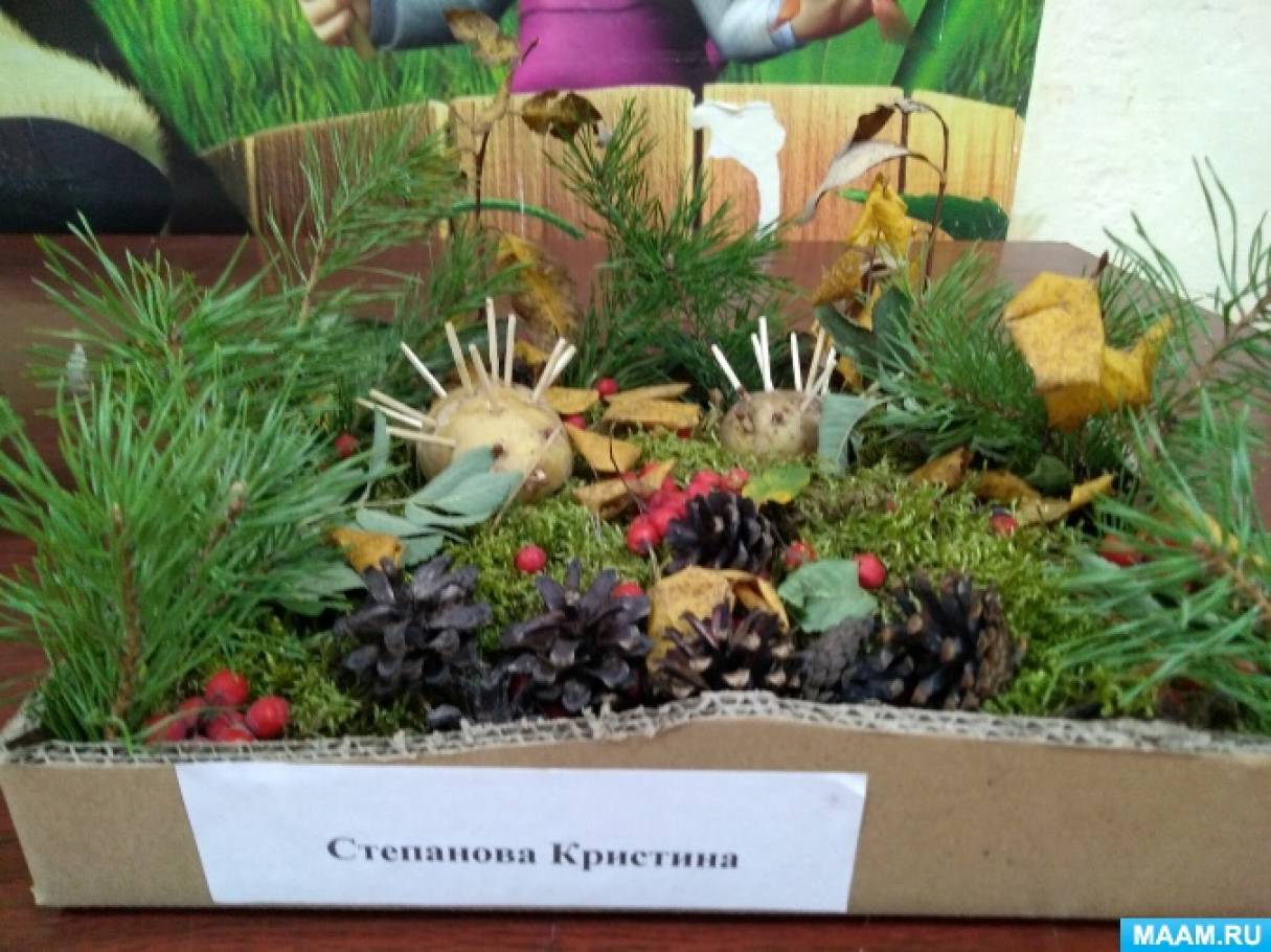Фотозвіт «Осінні фантазії» Фото Фотоотчёт «Осенние фантазии»