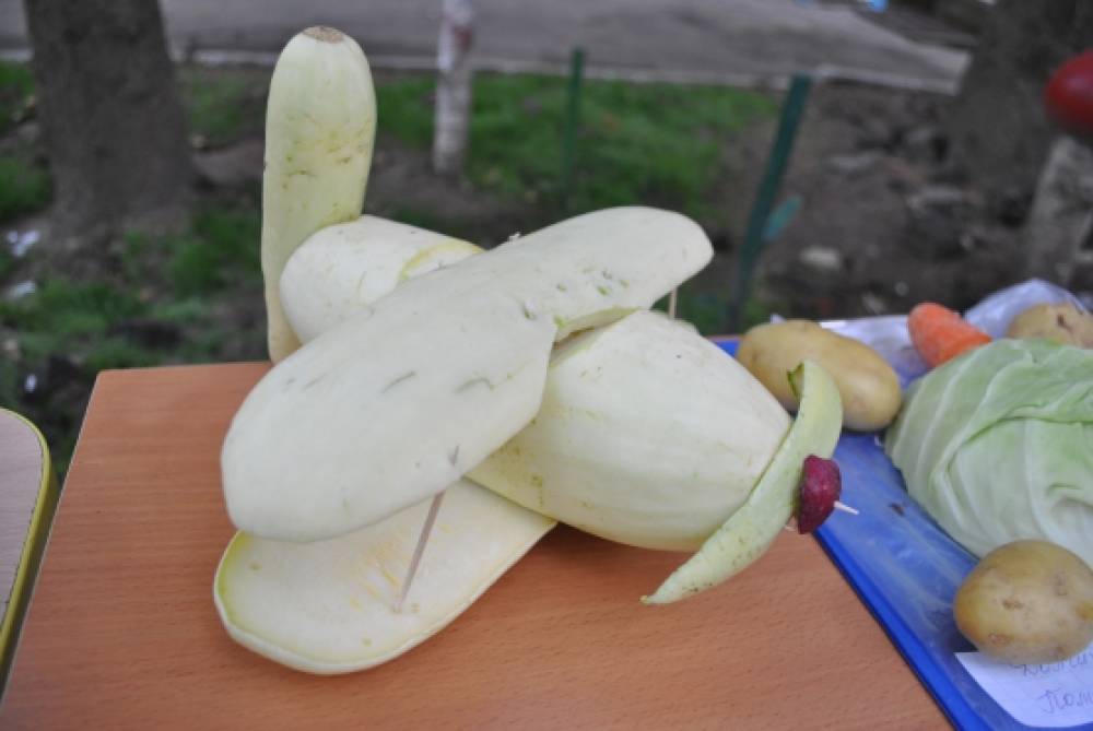 Поделка из кабачка самолёт 7
