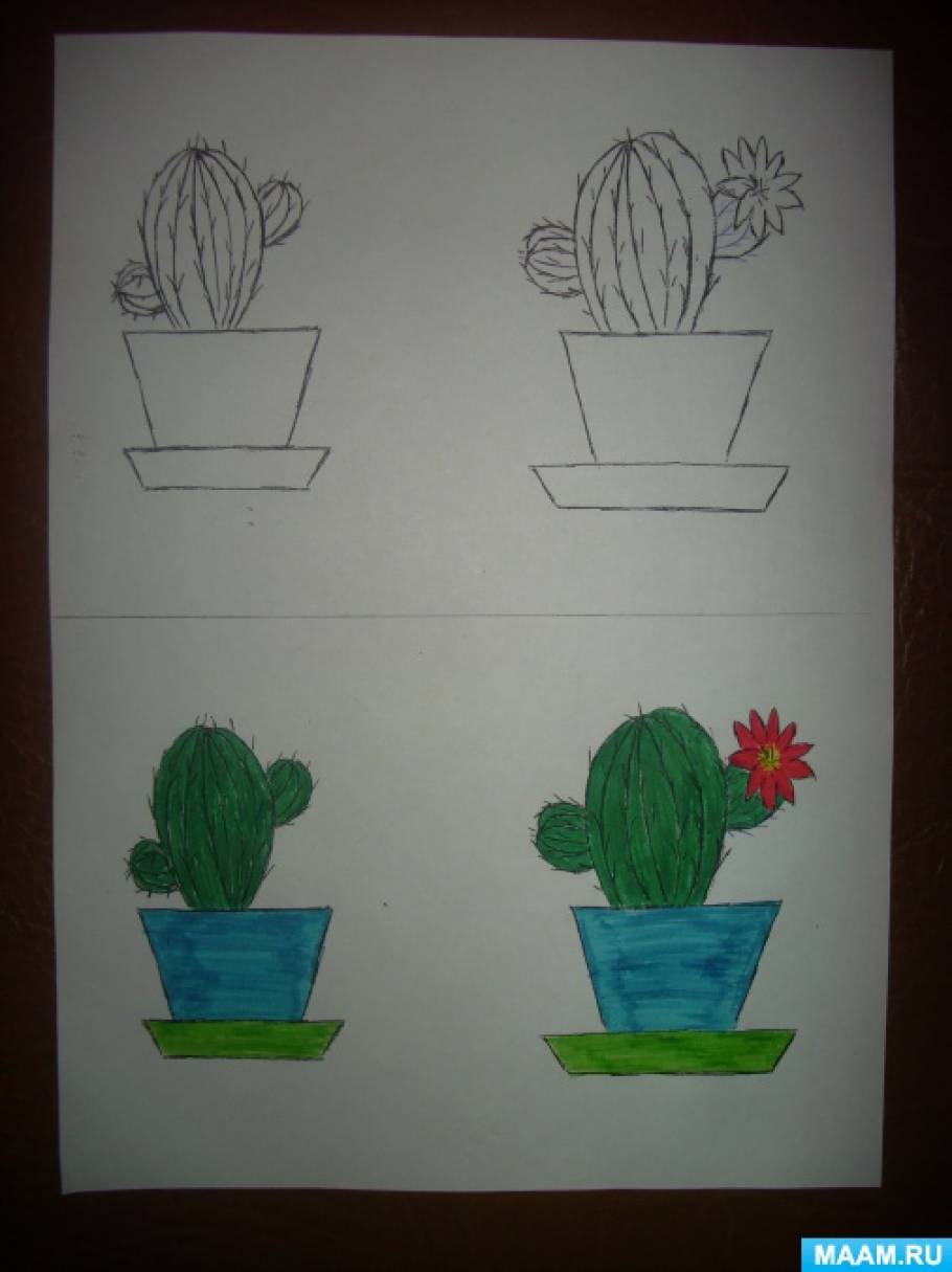 Конспект занятия по рисованию в подготовительной группе на тему комнатные растения