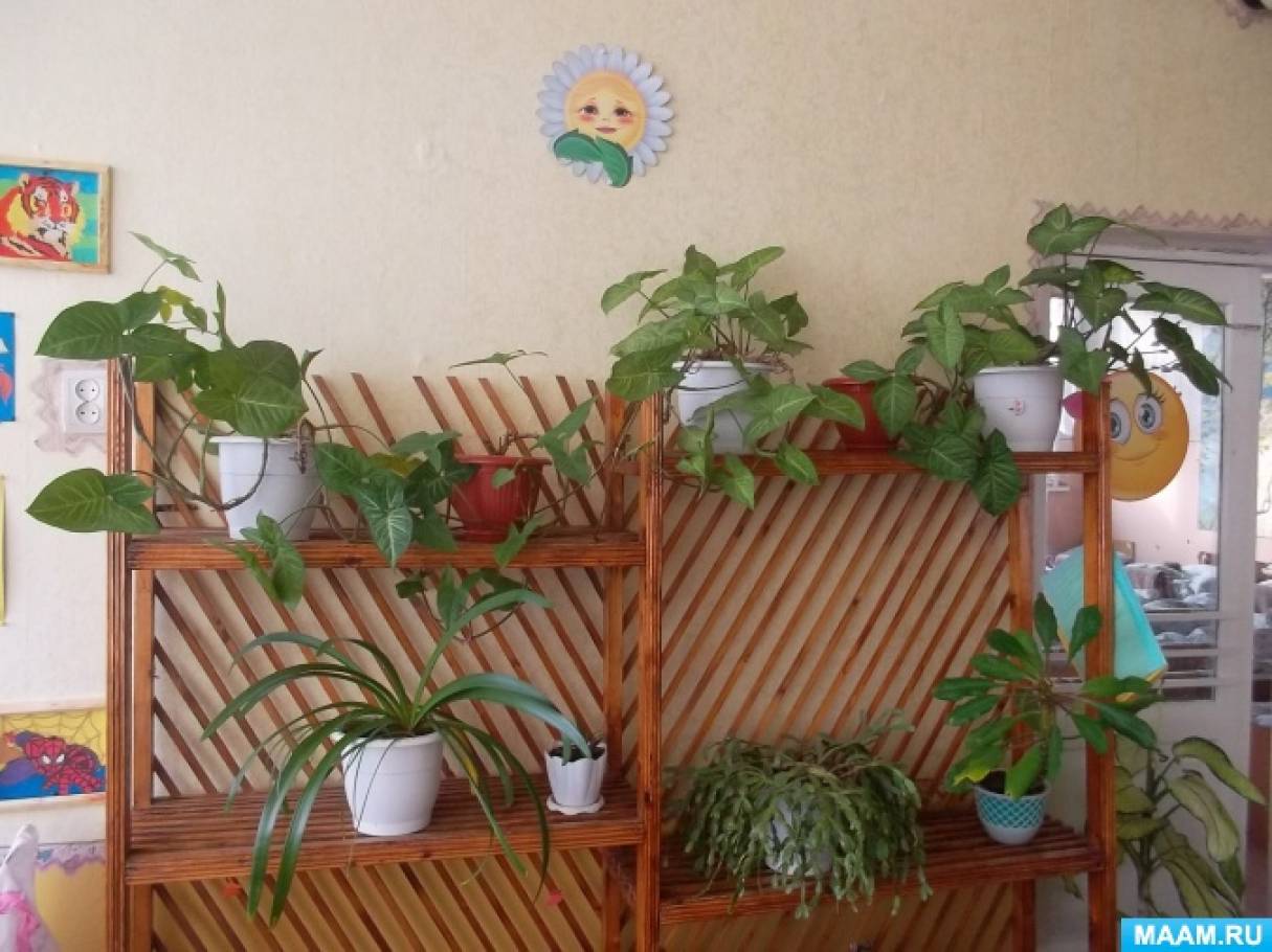 Консультация для родителей и воспитателей «Экологическое воспитание дошкольников в повседневной жизни с учётом ФГОС» Фото Консультация для родителей и воспитателей «Экологическое воспитание дошкольников в повседневной жизни с учётом ФГОС»