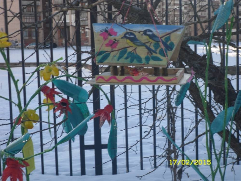 Кафе для птичек «Лето» Фото Кафе для птичек «Лето»