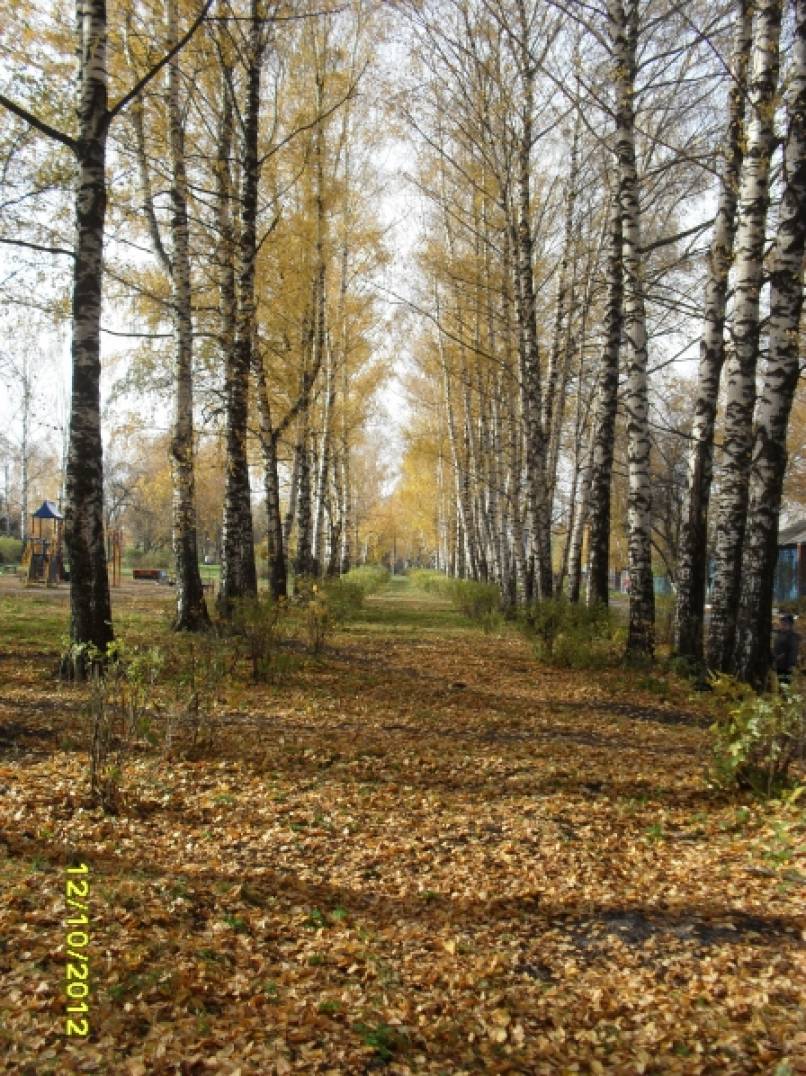 «Знакомим дошкольников с окружающим миром». Консультация для воспитателей Фото «Знакомим дошкольников с окружающим миром». Консультация для воспитателей