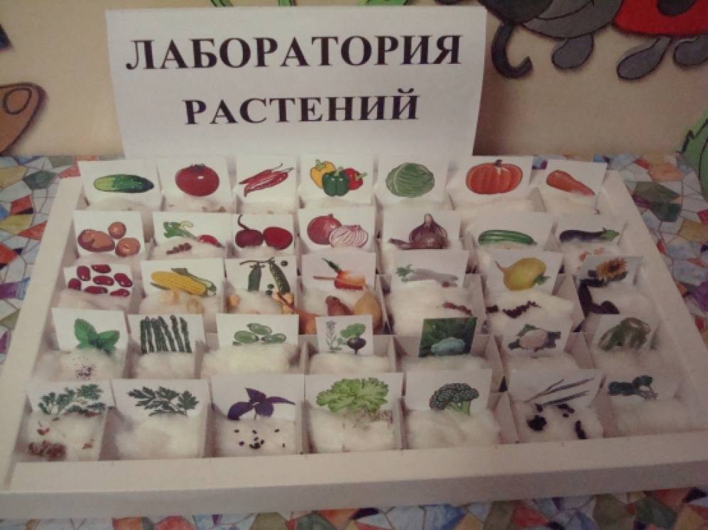 Толстикова о создаем развивающую среду Толстикова о создаем развивающую среду