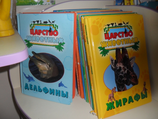 Уголок природы в старшей группе Фото Уголок природы в старшей группе