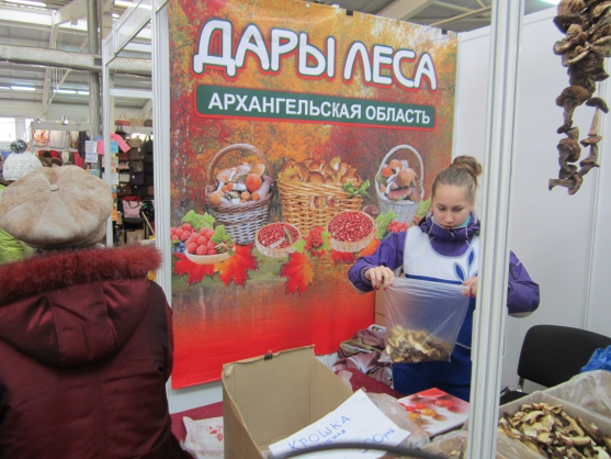 Два весенних дня в Нижнем Новгороде. Последний день фестиваля «Широкая Масленица» Фото Два весенних дня в Нижнем Новгороде. Последний день фестиваля «Широкая Масленица»