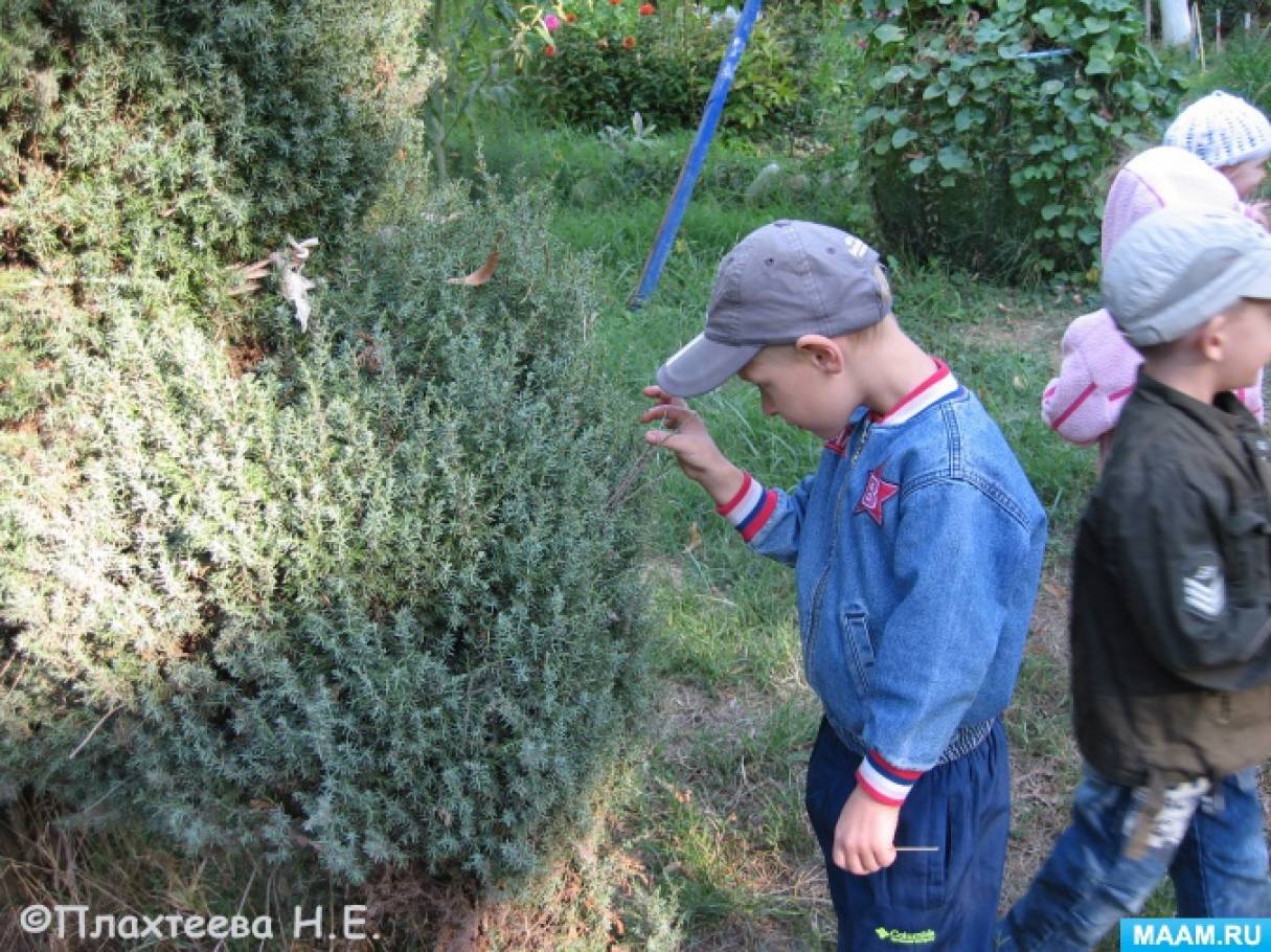 Консультация для родителей «Почему важно отвечать на детские вопросы» Фото Консультация для родителей «Почему важно отвечать на детские вопросы»