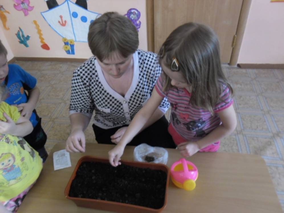 Что можно садить с перцем Что можно садить с перцем