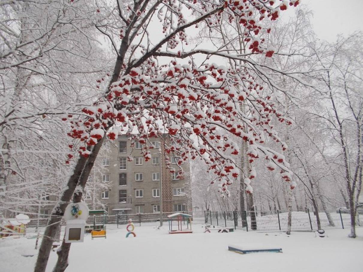 Поздравления с рождением сына официальное фото 627
