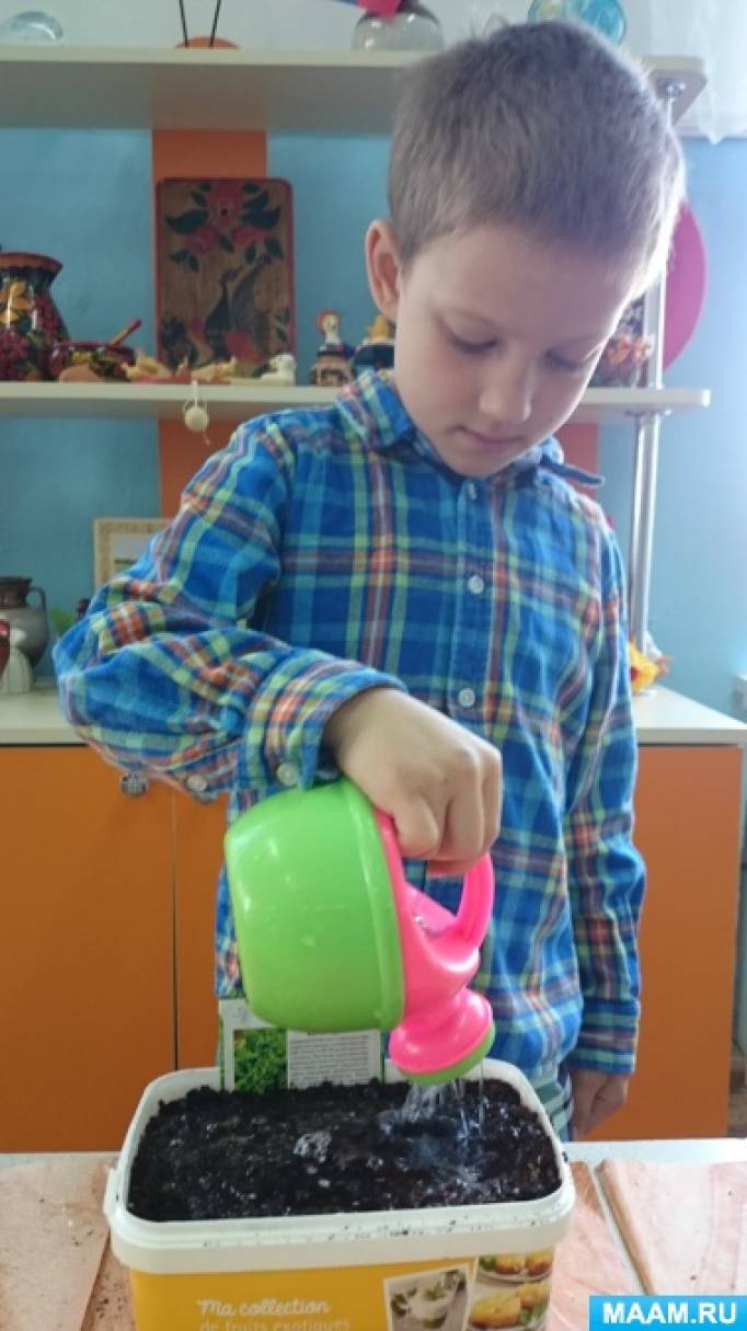 Севооборот на огороде. Что после чего можно сажать на огороде Что посадить на огороде. Какие овощи сажать Сад и огород