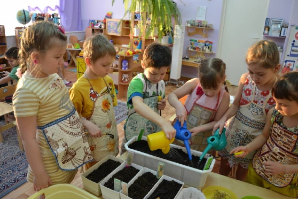 Проект «Освоение детьми дошкольного возраста представлений о росте растений в процессе создания огорода на окошке»