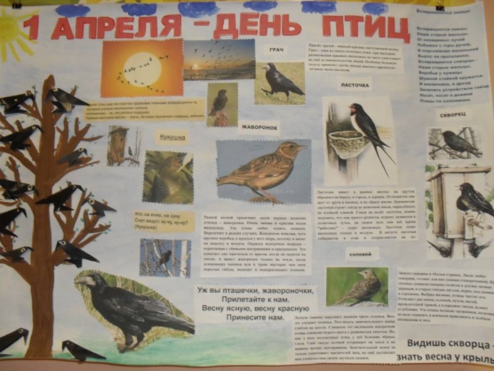 Как сделать птицу ко дню птиц