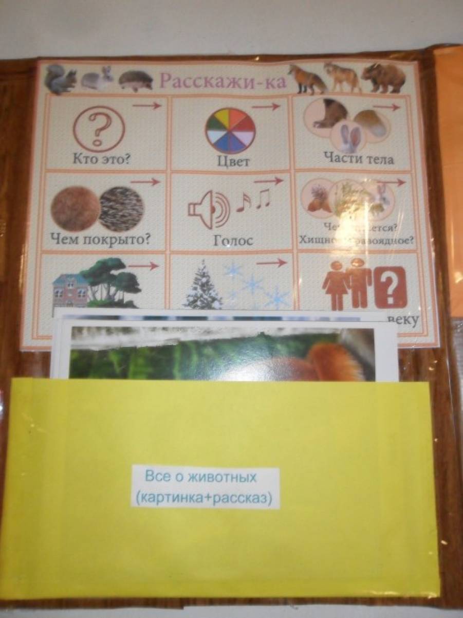Лэпбук «Дикие животные». Воспитателям детских садов