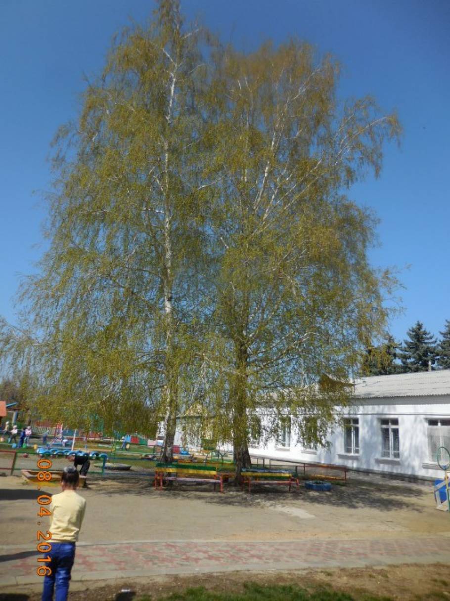 Фотоотчет о мероприятиях по пропаганде здорового образа жизни в старшей группе Фото Фотоотчет о мероприятиях по пропаганде здорового образа жизни в старшей группе