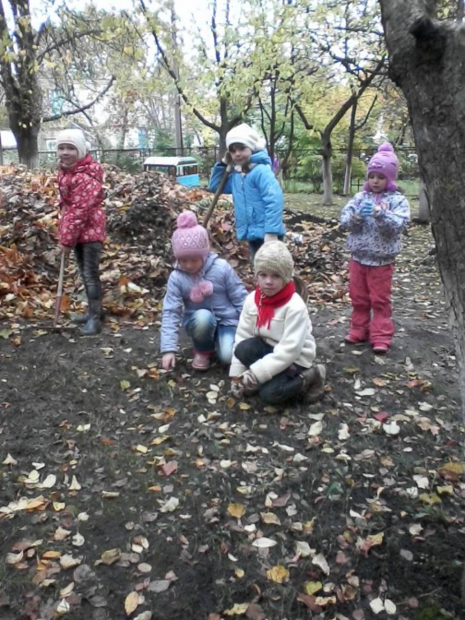 План По Самообразованию Воспитателя Доу По Экологическому Воспитанию