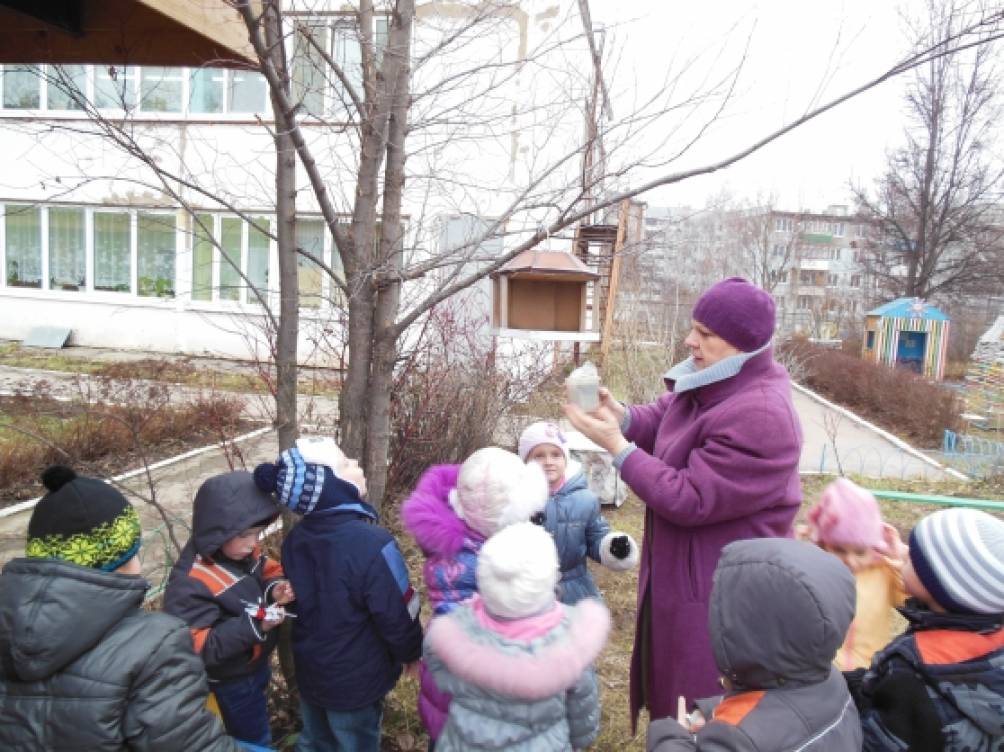 Ноябрь в нашей группе Фото Ноябрь в нашей группе