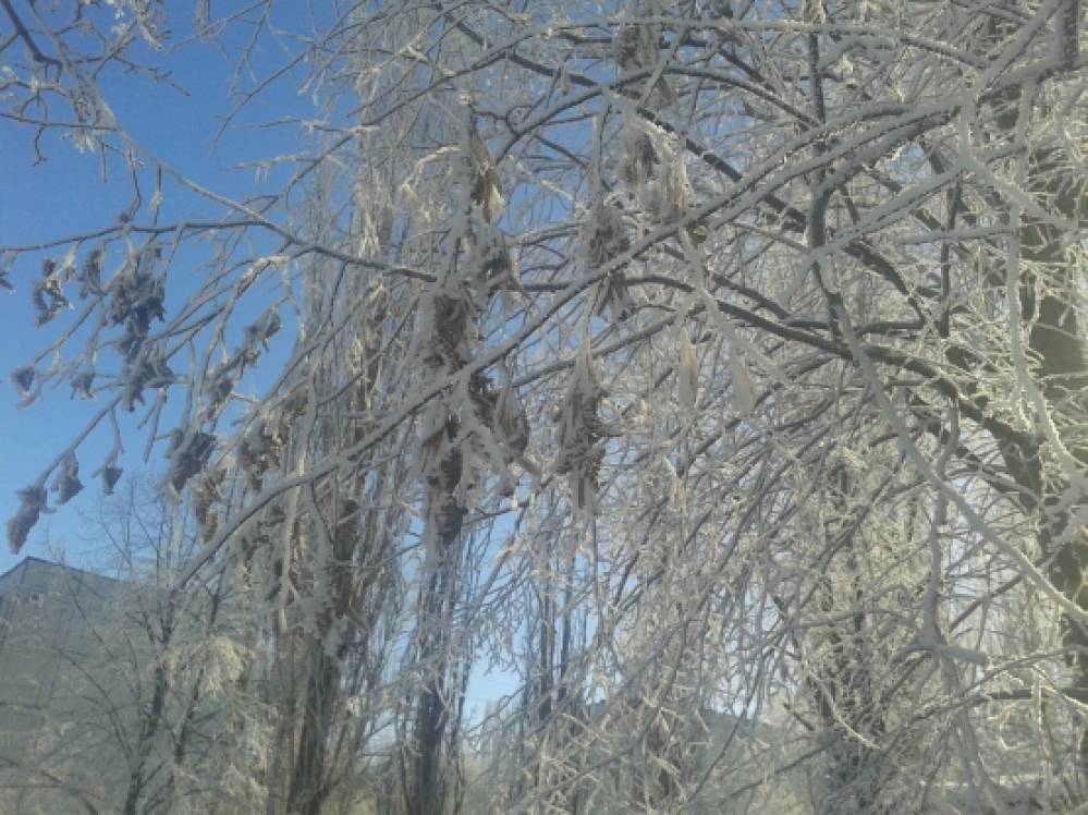 Детские отдых на зимние каникулы