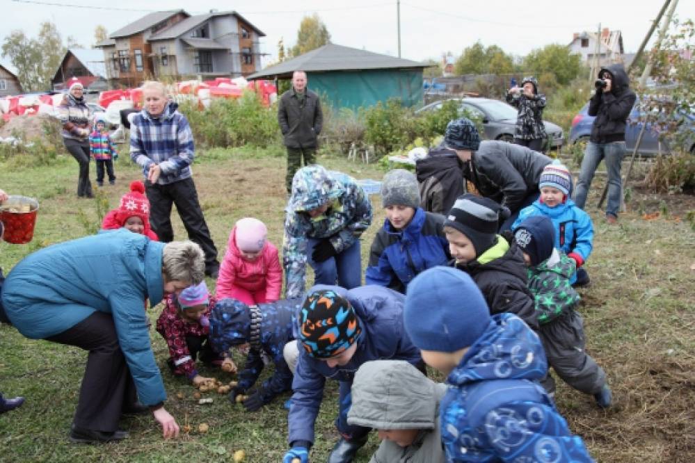 родительский клуб «Праздник картошки