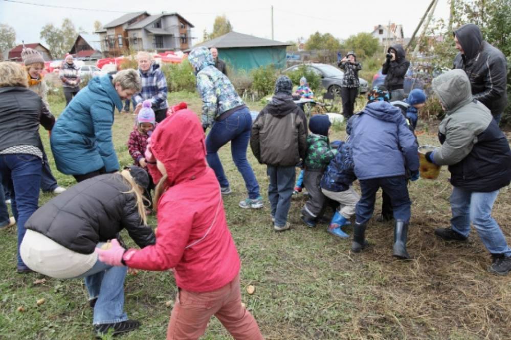 родительский клуб «Праздник картошки