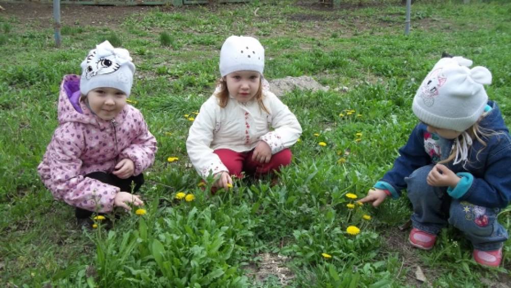 Педагогічний проект для дітей 2-4 років «Сонечко на ніжці» Фото Педагогический проект для детей 2–4 лет «Солнышко на ножке»