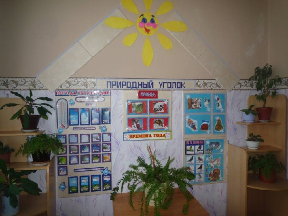 Как оформить уголок природы своими руками