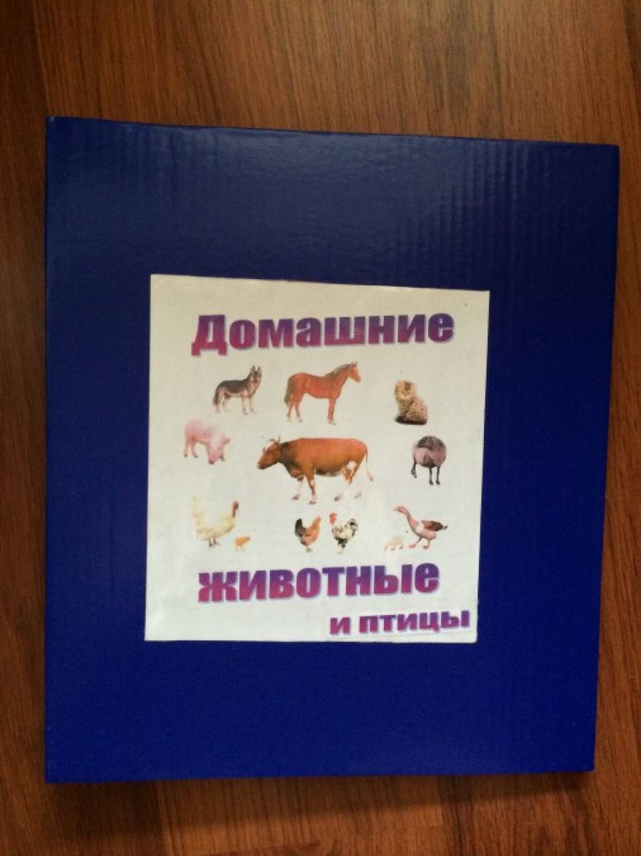 Тематическая папка-лэпбук «Домашние животные и птицы» Фото Тематическая папка-лэпбук «Домашние животные и птицы»