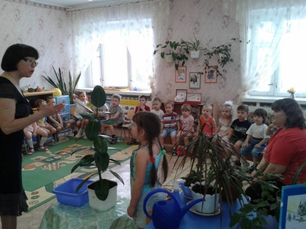Воспитание гуманного отношения к обитателям уголка природы Фото Воспитание гуманного отношения к обитателям уголка природы
