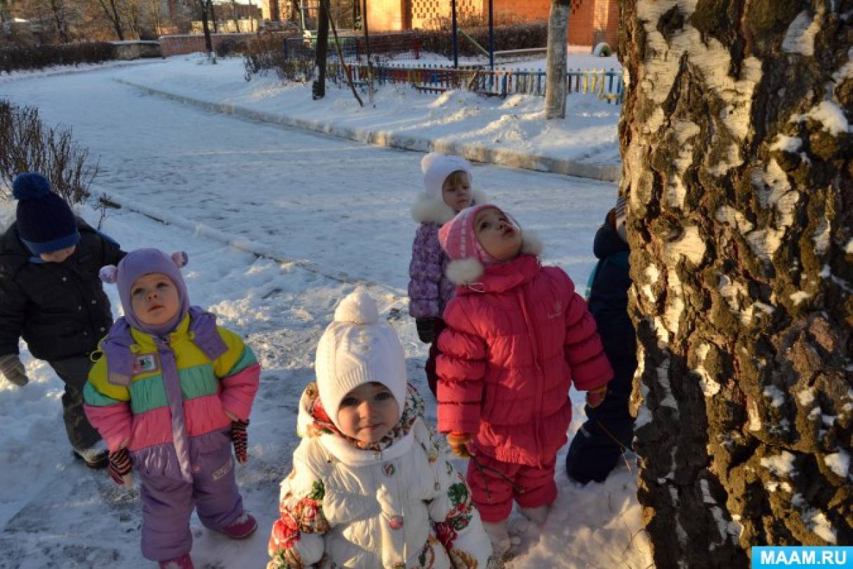 Фотоотчет «Зимняя прогулка. По следам зверей» (первая младшая группа) Фото Фотоотчет «Зимняя прогулка. По следам зверей» (первая младшая группа)