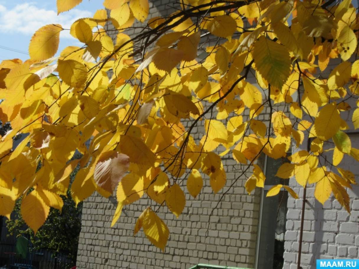 essay about autumn season Fall is the best season of them all there may only be four seasons but this one definitely dominates them all there are a lot of reasons as to why fall is so amazing and i am going to go over some of these reasons in this essaysome of the best thing. essay about autumn season Fall is the best season of them all there may only be four seasons but this one definitely dominates them all there are a lot of reasons as to why fall is so amazing and i am going to go over some of these reasons in this essaysome of the best thing.