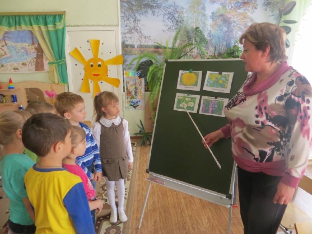 как правильно пить пижму от паразитов как правильно пить пижму от паразитов