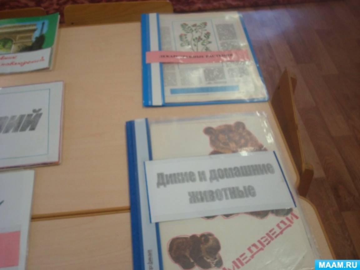 Конспект занятия по экологии с детьми 3–4 лет Фото Конспект занятия по экологии с детьми 3–4 лет