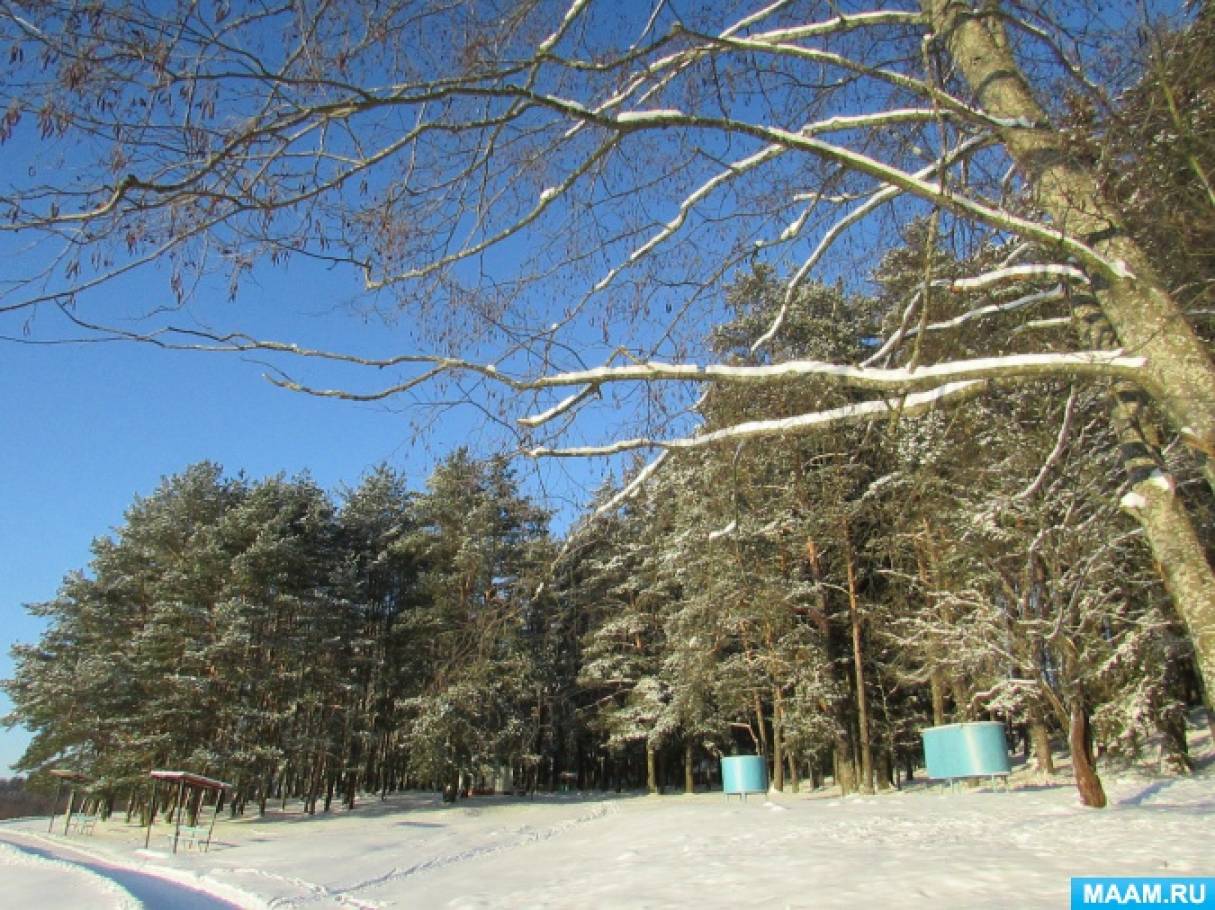 Солнечная зимняя природа картинки Солнечная зимняя природа картинки