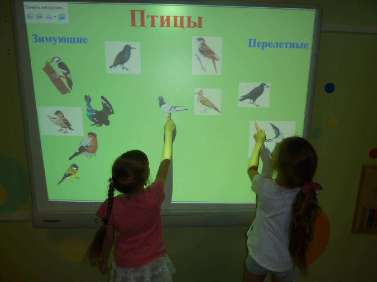 Конспект занятия на тему птицы на дереве