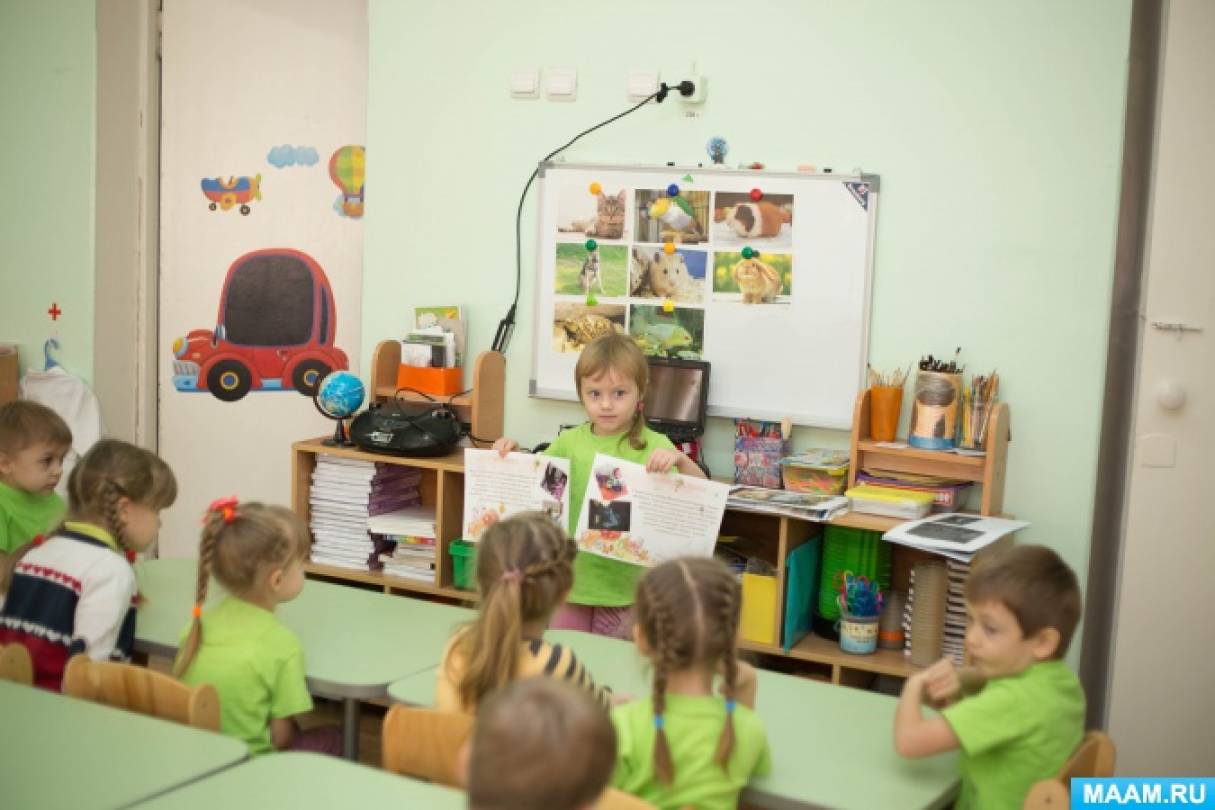 Привет Качество Мои Домашние Питомцы 