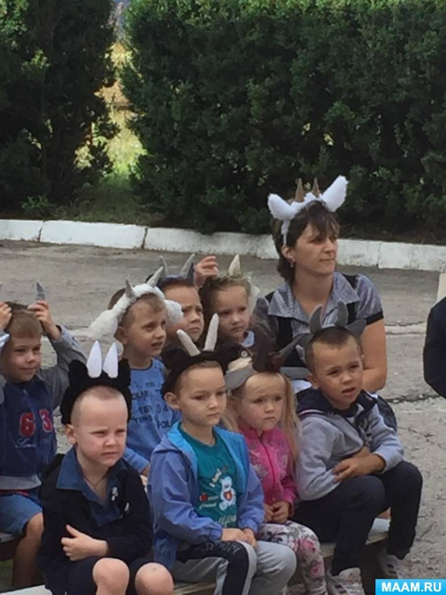 Сценарий развлечения по ППД