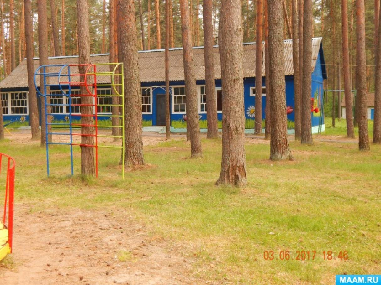 detsad-358845-1498478111.jpg