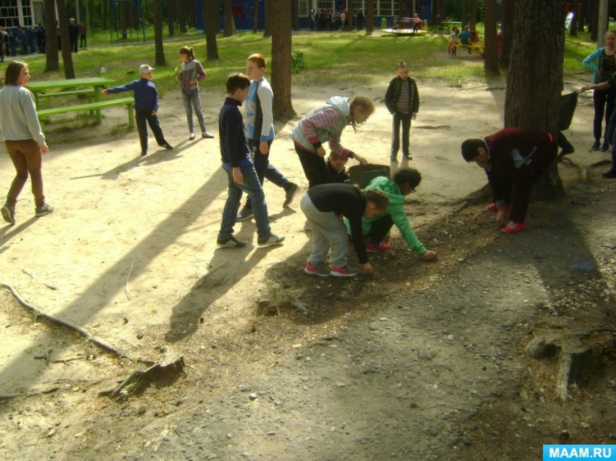 detsad-358845-1502111858.jpg