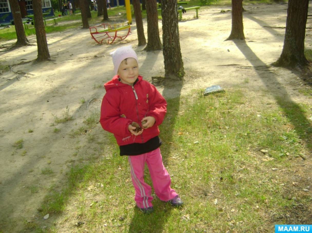detsad-358845-1502111948.jpg
