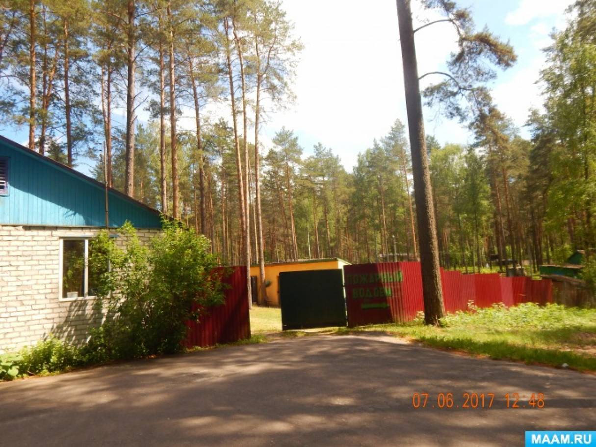 detsad-358845-1502112294.jpg