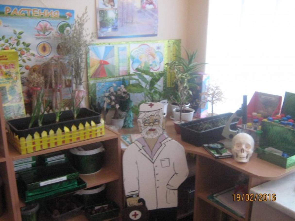 Куточок природи в ДНЗ Фото Уголок природы в ДОУ
