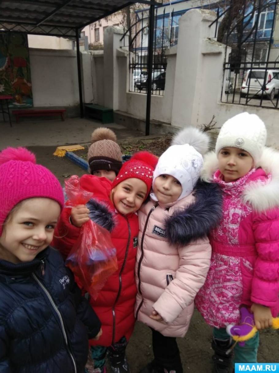 Фото-отчёт «Зимняя прогулка».