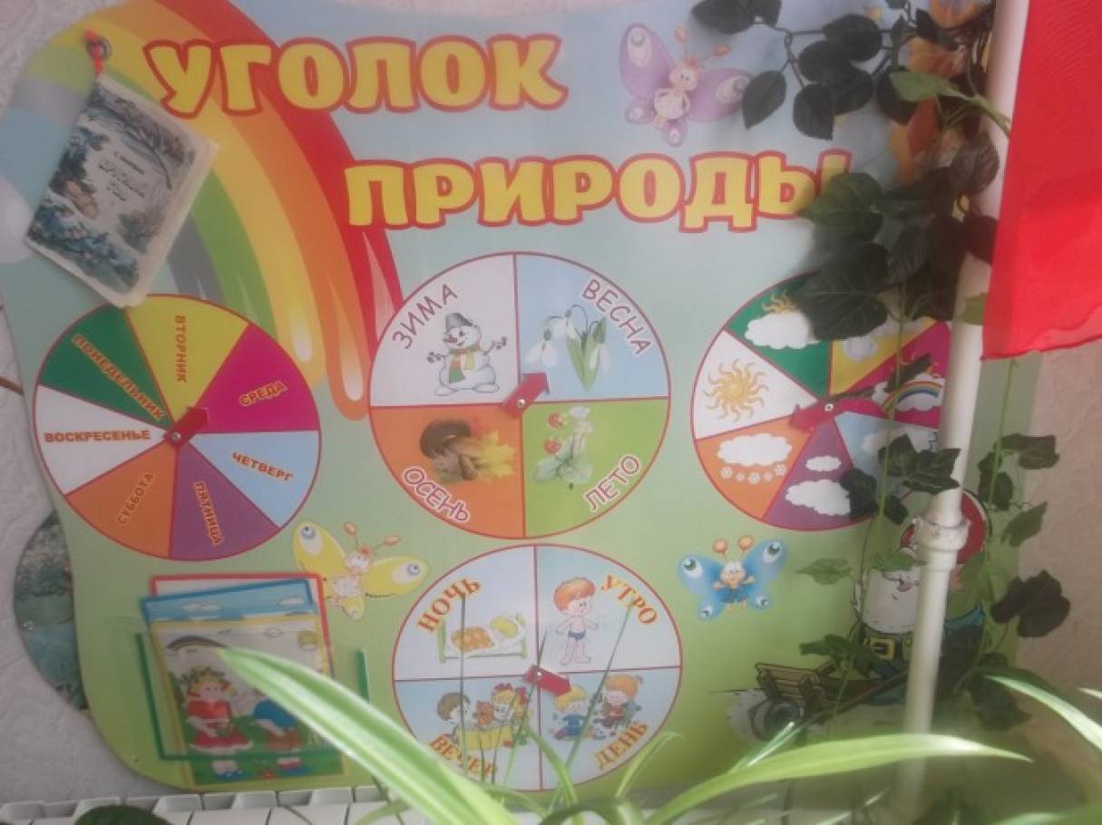 Фотоотчёт. «Огород на окне» Фото Фотоотчёт. «Огород на окне»