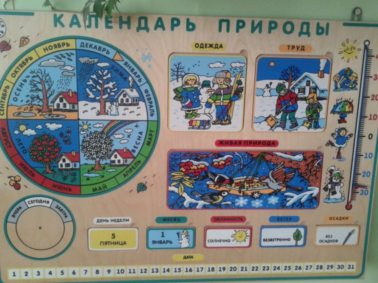 Сценарии для представления человека Сценарии для представления человека