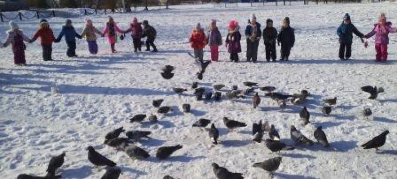Целевая прогулка в парк. Акция «Покормите голубей» Фото Целевая прогулка в парк. Акция «Покормите голубей»