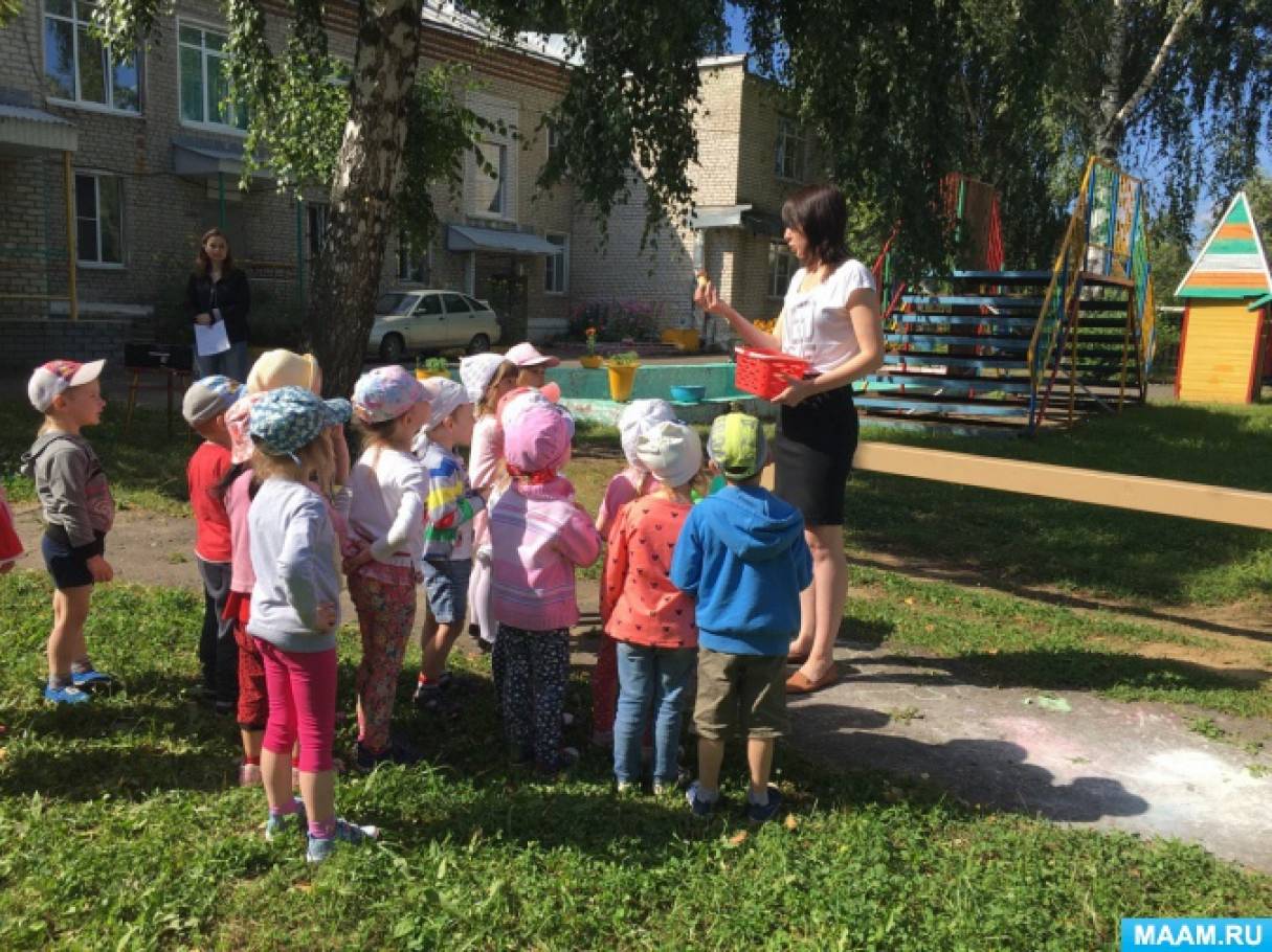 Экологическое развлечение для детей второй младшей группы «Прогулка в лес»